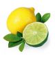 Sentiotec Saunageur Opgietconcentraat - Citrus Limoen 100ML
